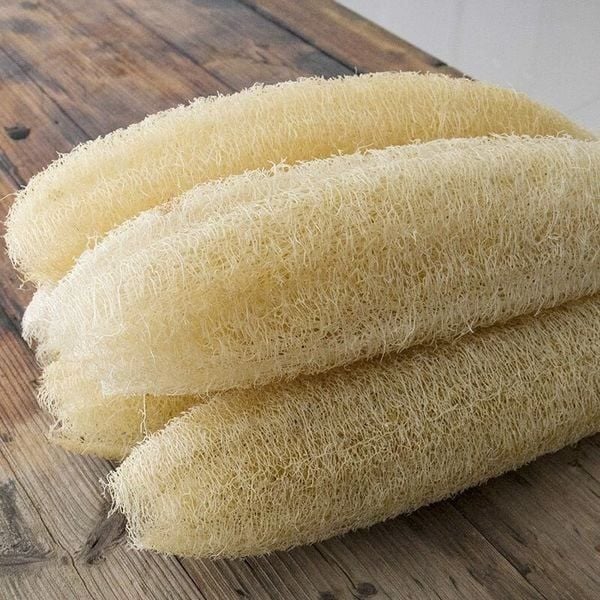 Cách trị hôi chân khi đi giày nhiều