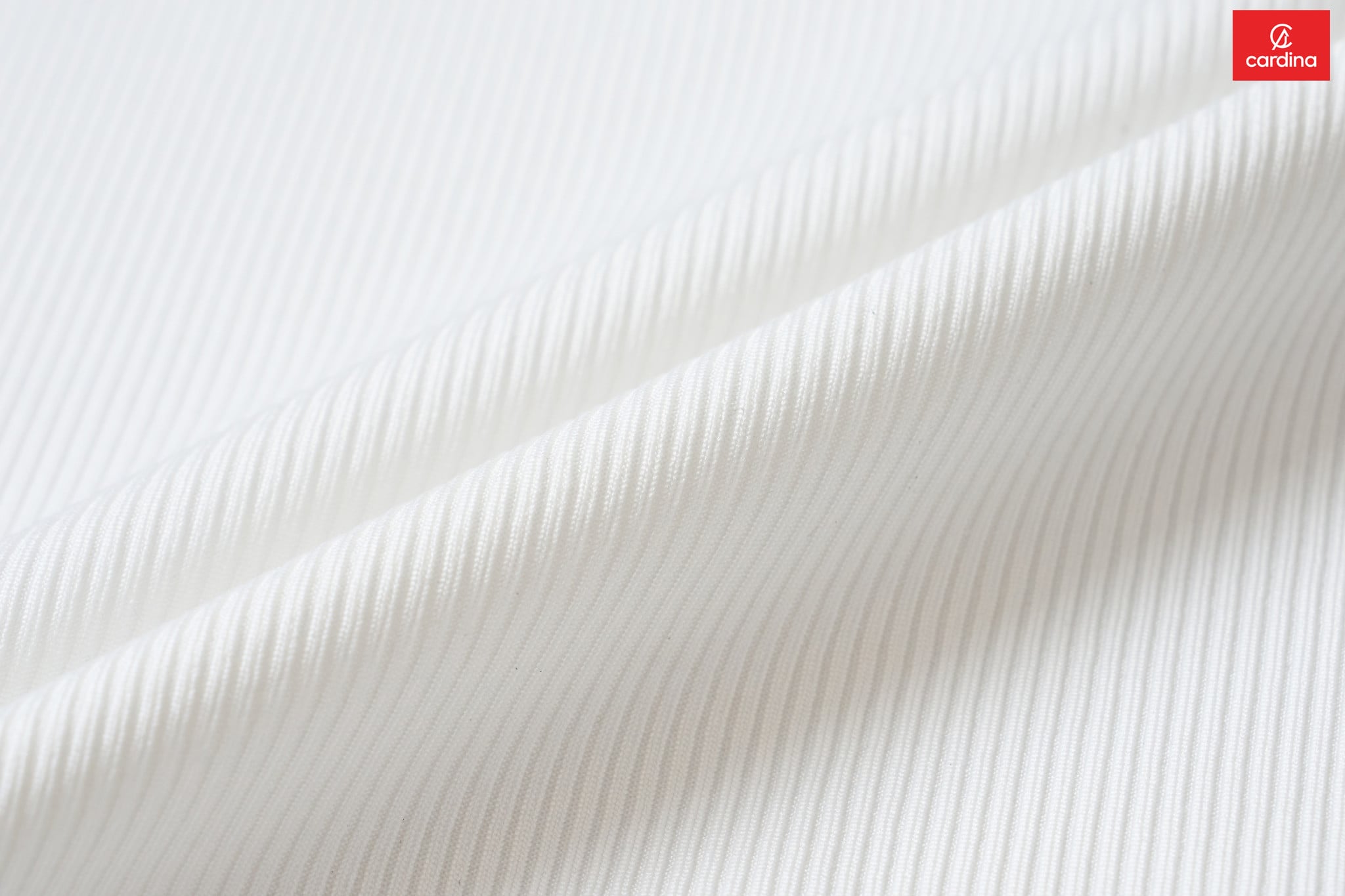 Áo tay cộc cổ trụ phối viền