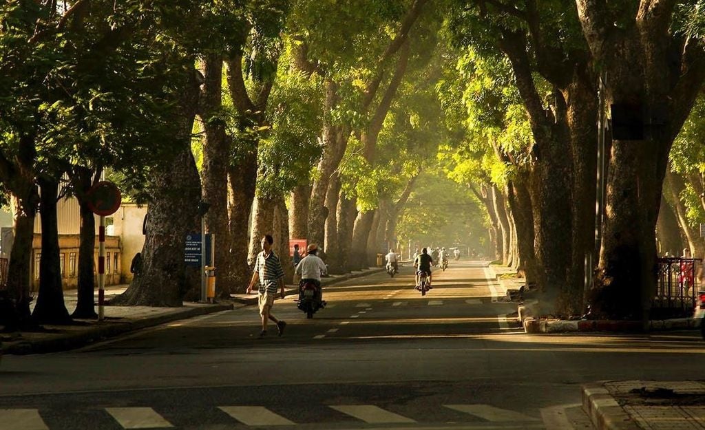 Chụp ảnh mùa thu Hà Nội