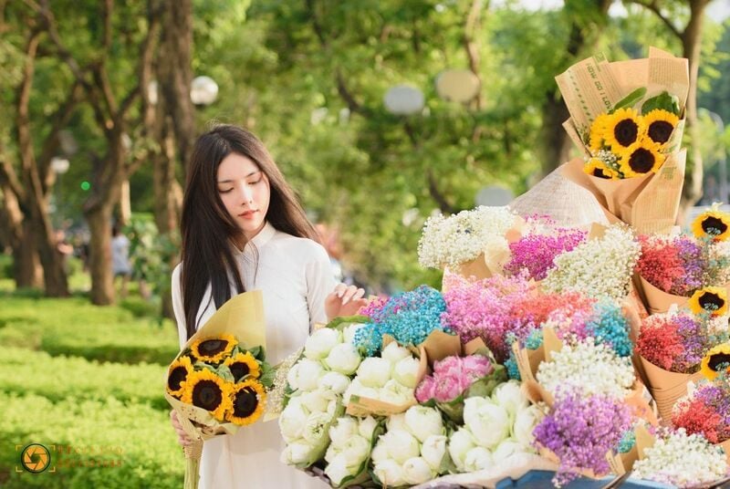 Mách nàng tips chụp ảnh với xe hoa Hà Nội mùa thu siêu XINH