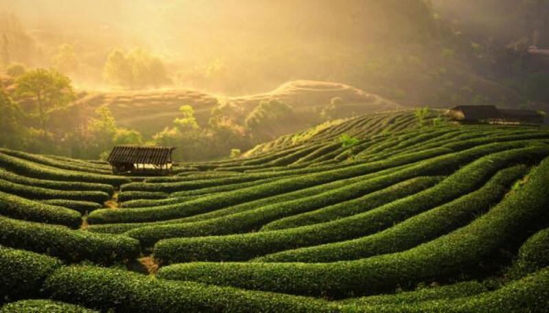 Du lịch Thái Nguyên