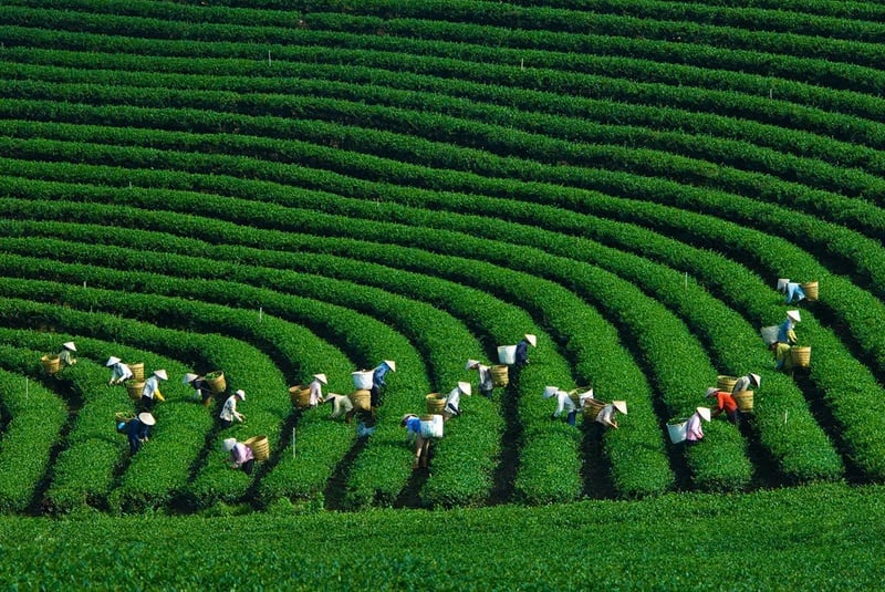 Du lịch Thái Nguyên