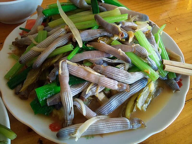 Vân Đồn ở đâu?