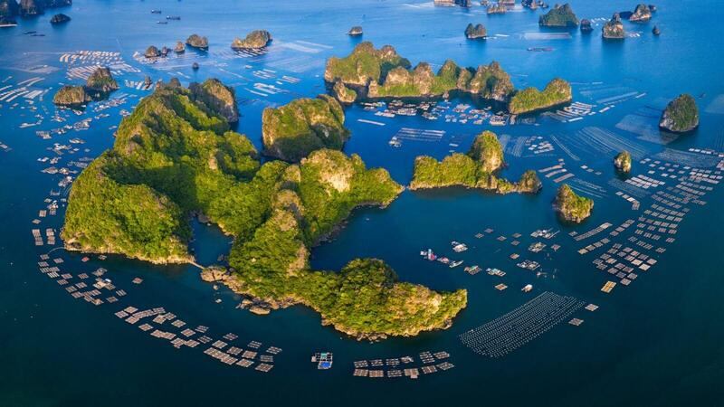 Vân Đồn ở đâu?
