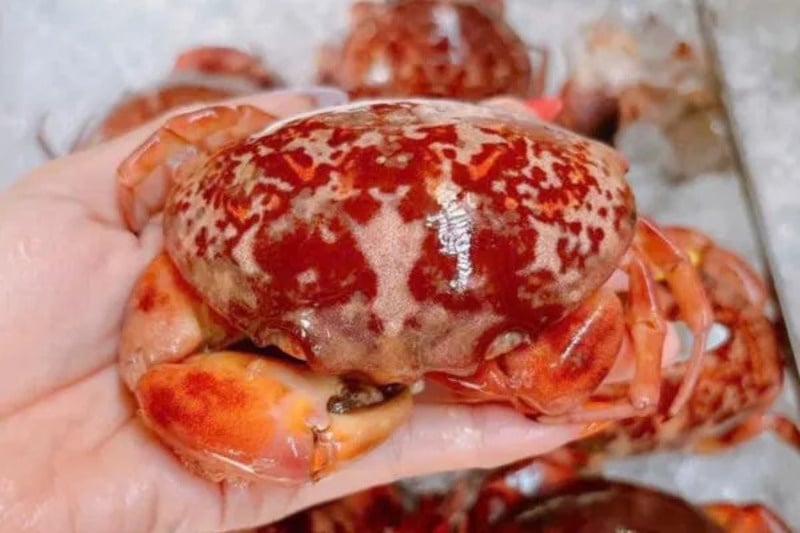 Vân Đồn ở đâu?