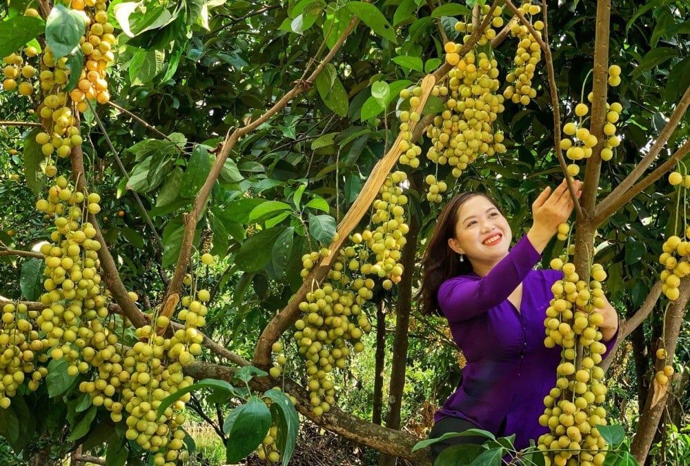 Làng du lịch Mỹ Khánh Cần Thơ
