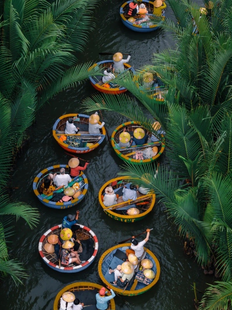 rừng dừa Bảy Mẫu