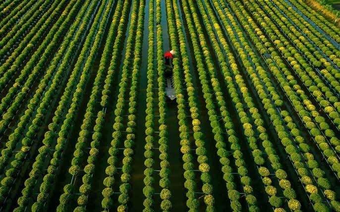 tour du lịch miền Tây 2 ngày 1 đêm