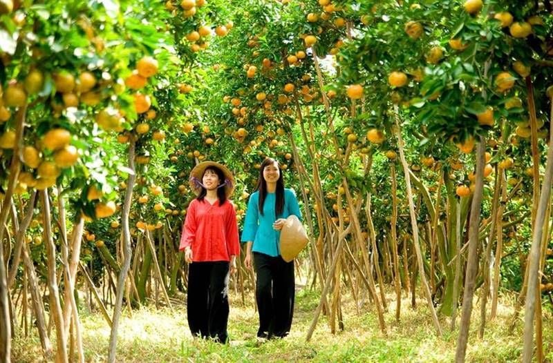 tour du lịch miền Tây 2 ngày 1 đêm