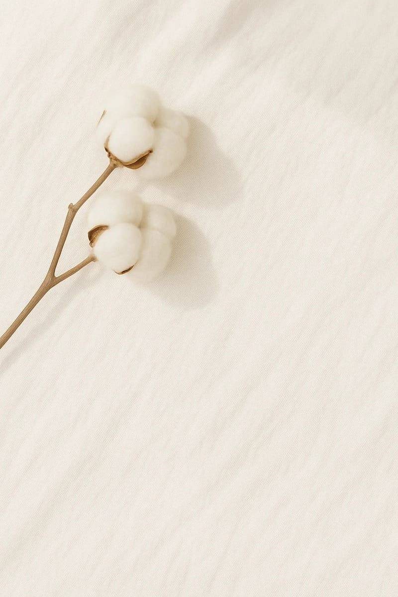 Vải cotton là gì?