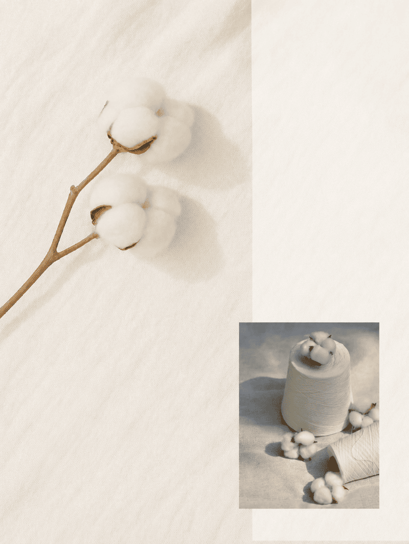 Vải cotton là gì?