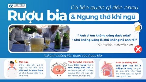 Mối Liên Hệ Nguy Hiểm Giữa Rượu Bia Và Chứng Ngưng Thở Khi Ngủ: Đằng Sau Trận Nhậu 
