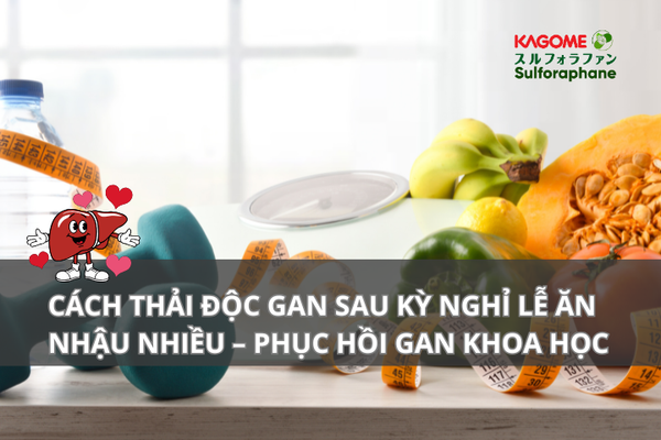 Cách thải độc gan sau kỳ nghỉ lễ ăn nhậu nhiều – phục hồi gan khoa học