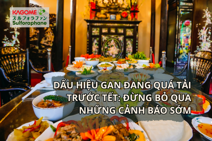 Dấu hiệu gan đang quá tải trước Tết: Đừng bỏ qua những cảnh báo sớm