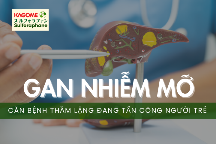 Gan nhiễm mỡ – Căn bệnh thầm lặng đang tấn công người trẻ
