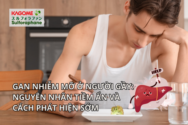 Gan nhiễm mỡ ở người gầy: nguyên nhân tiềm ẩn và cách phát hiện sớm