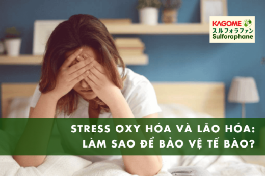 Stress oxy hóa và lão hóa: Làm sao để bảo vệ tế bào?