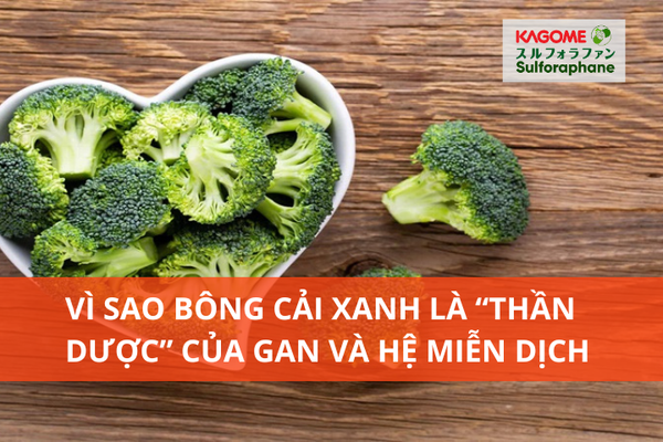 Vì sao bông cải xanh là “thần dược” của gan và hệ miễn dịch