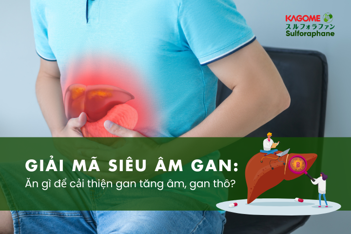 Giải mã siêu âm gan: Ăn gì để cải thiện gan tăng âm, gan thô?