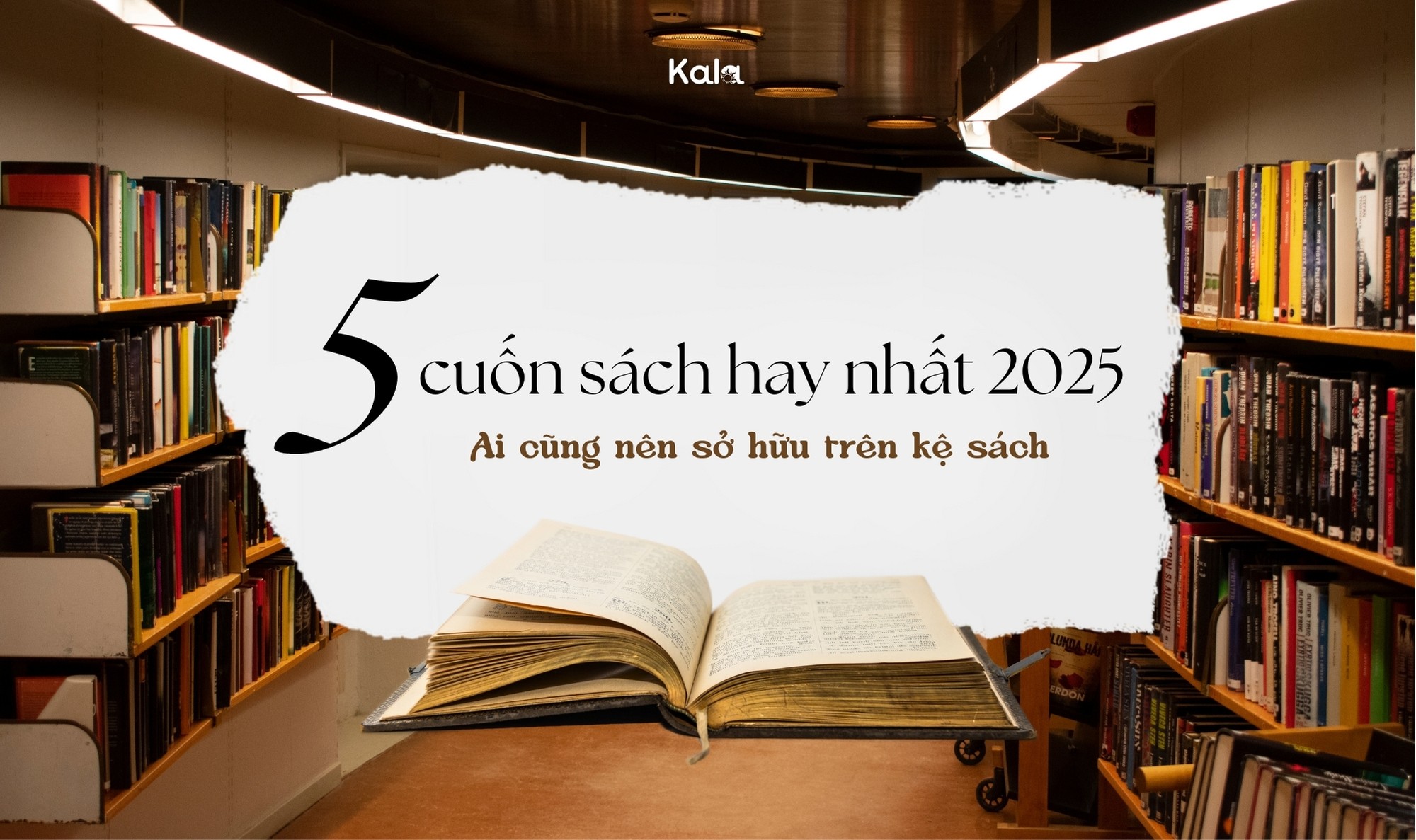 Top 5 cuốn sách đáng đọc nhất năm 2025 - Ai cũng nên sở hữu trên kệ sách