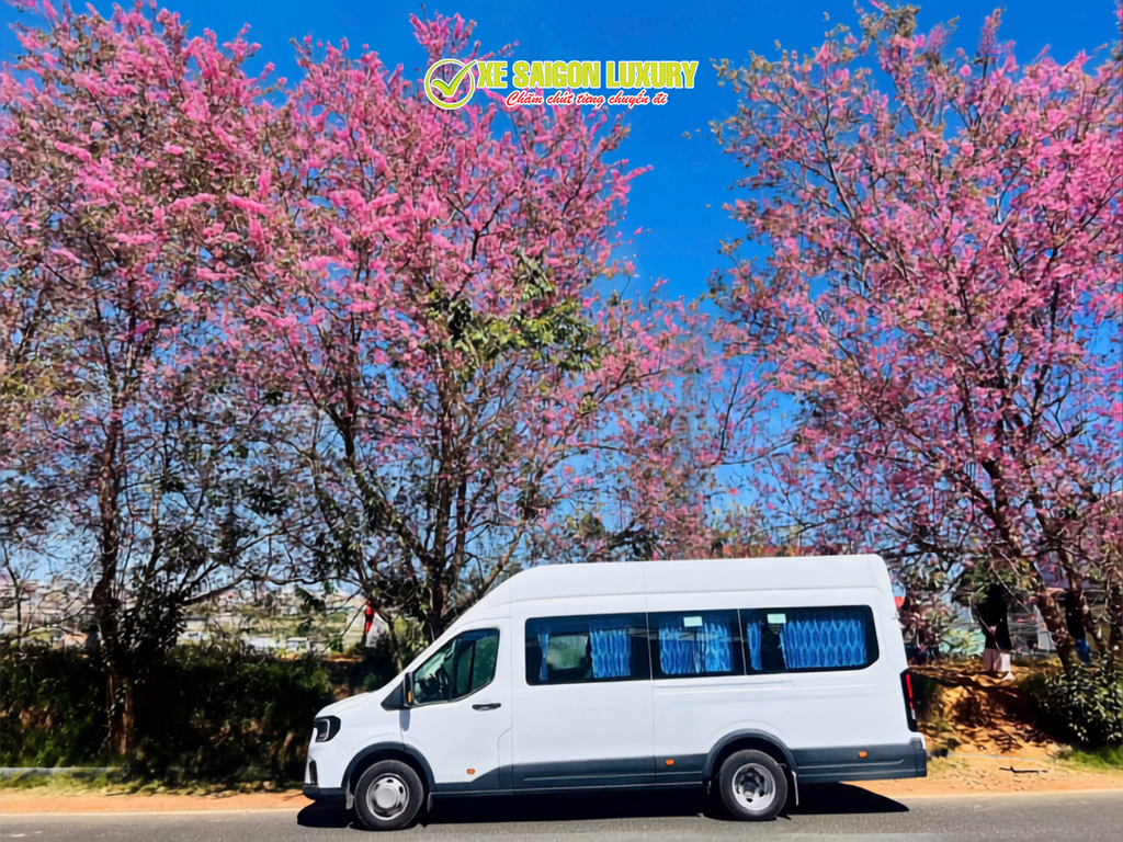 ho-chi-minh-car-hire-with-chauffeur