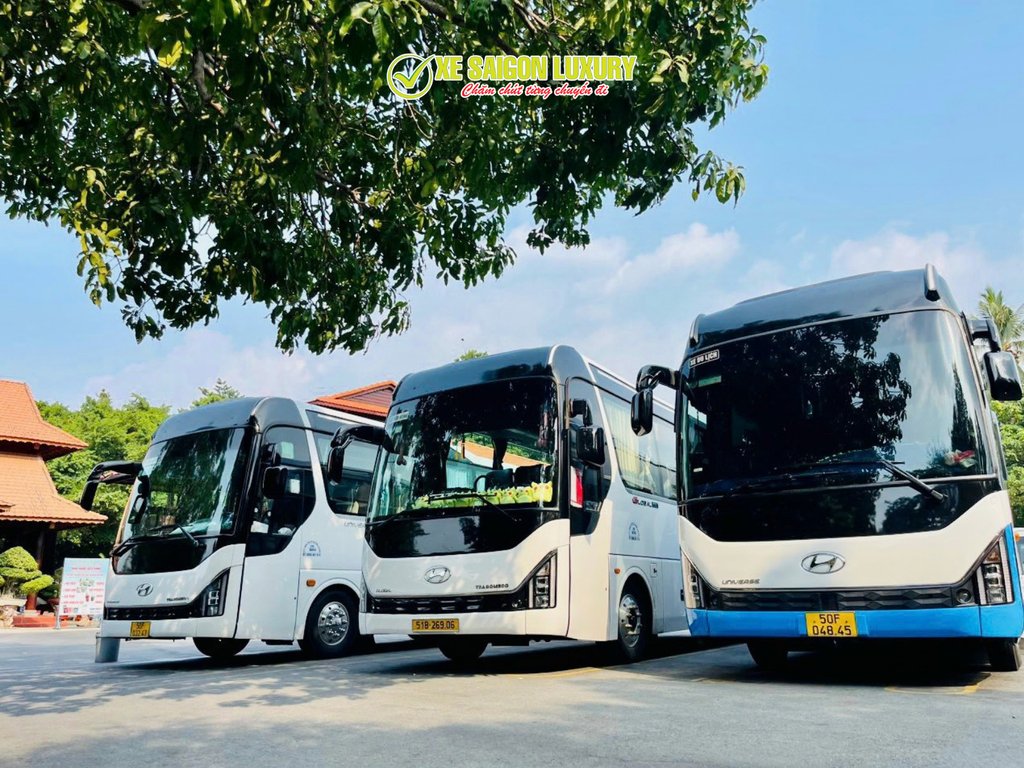 thue-xe-limousine-29-cho