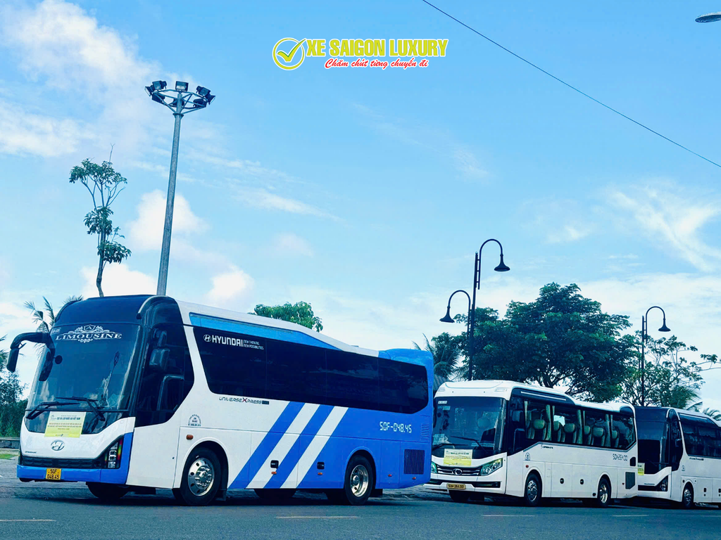 thue-xe-limousine-29-cho