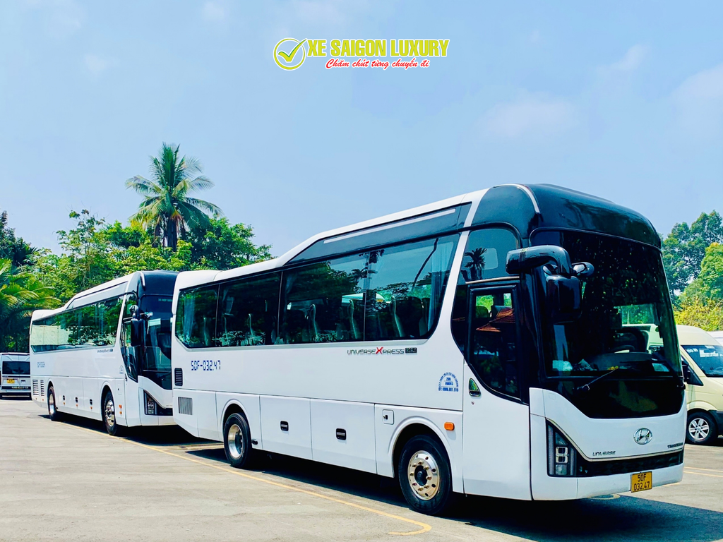 thue-xe-limousine-29-cho