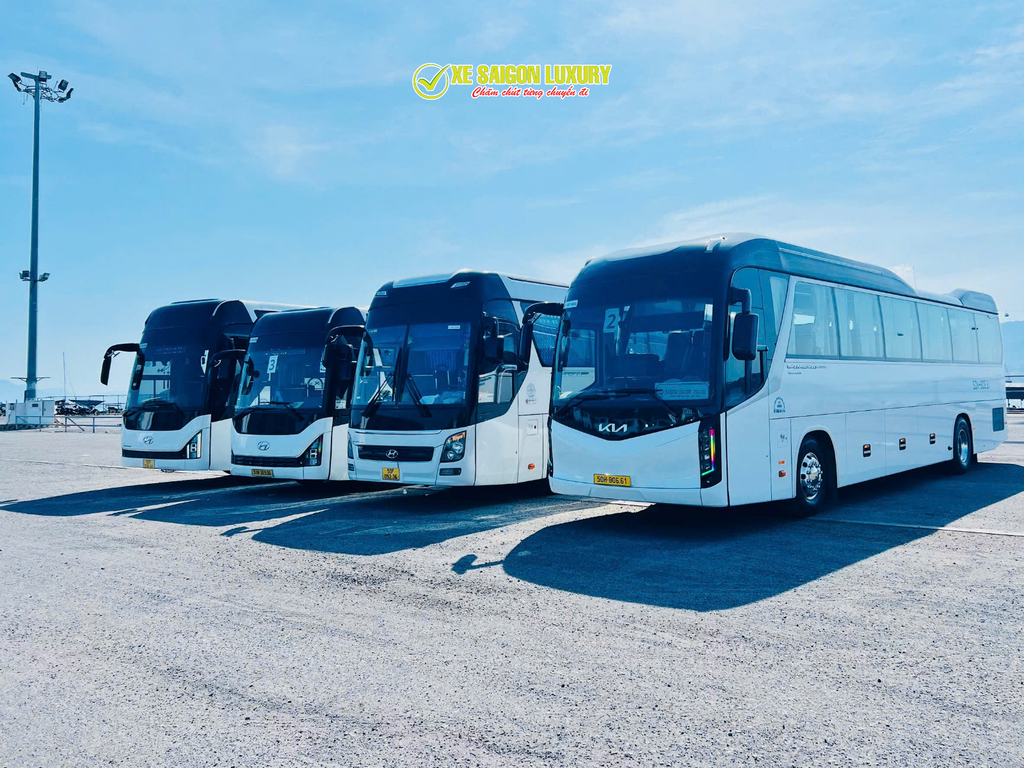 thue-xe-di-team-building-vung-tau