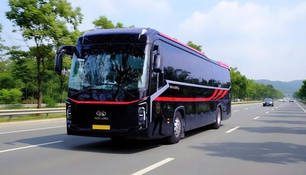thuê xe limousine 29 chỗ