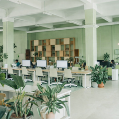 Tạo không gian xanh trong văn phòng làm việc.