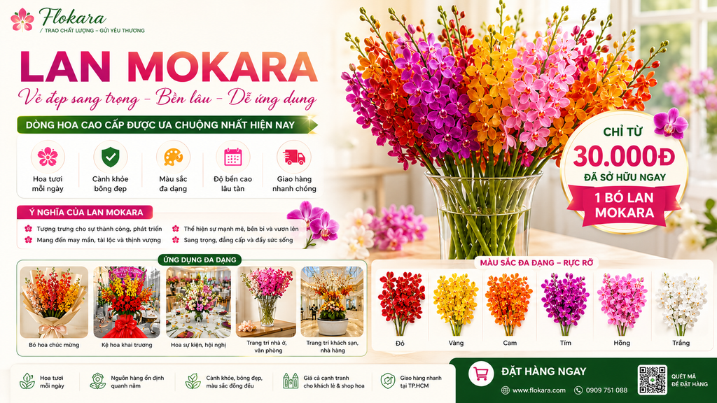 Lan Mokara – Vẻ Đẹp Sang Trọng, Bền Lâu Và Dễ Ứng Dụng Trong Mọi Thiết Kế Hoa