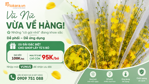 Hoa Vũ Nữ Vừa Mới Về Hàng – Mua 5 Bó Chỉ Còn 95K/Bó