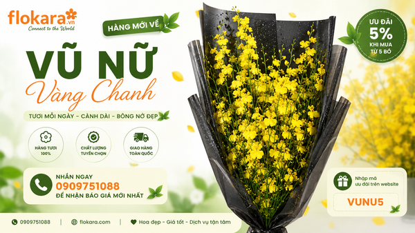 🌼 VŨ NỮ VÀNG CHANH MỚI VỀ – HÀNG ĐẸP, TƯƠI MỖI NGÀY, ƯU ĐÃI HẤP DẪN TẠI FLOKARA