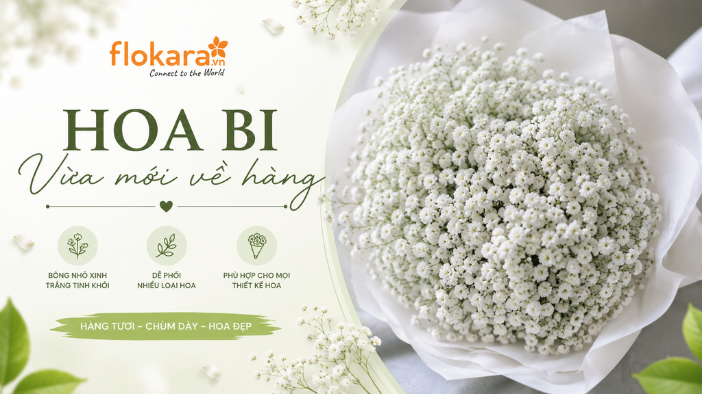Hoa Bi Vừa Mới Về Hàng Tại Flokara – Vẻ Đẹp Nhỏ Xinh, Trắng Tinh Khôi Cho Mọi Thiết Kế Hoa
