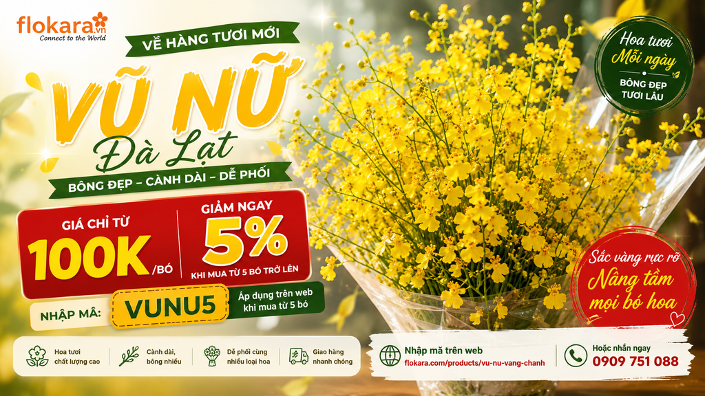 🌼 HOA VŨ NỮ ĐÀ LẠT VỀ HÀNG – GIẢM NGAY 5% KHI MUA TỪ 5 BÓ 🌼