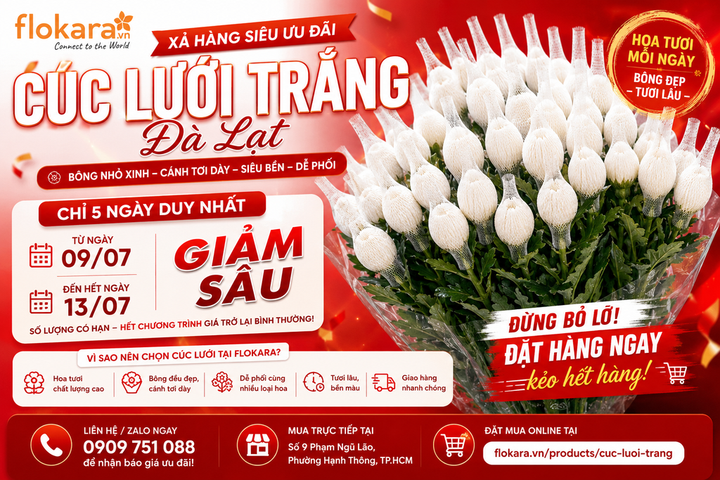 🚨 CHỈ 5 NGÀY DUY NHẤT – XẢ HÀNG CÚC LƯỚI TRẮNG ĐÀ LẠT GIÁ SIÊU HẤP DẪN TẠI FLOKARA! 🤍