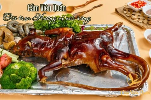 Đặc Sản Núi Rừng Hà Nội – Trải Nghiệm Ẩm Thực Độc Lạ tại Cầm Viên Quán