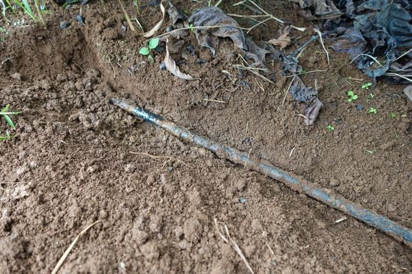 Hệ Thống Tưới Cho Cây Cà Phê Chuyên Nghiệp & Đột Phá Bền Vững