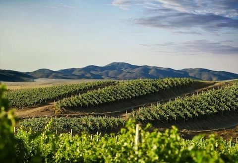 Terroir Là Gì Và Ảnh Hưởng Như Thế Nào Đến Hương Vị Của Rượu Vang