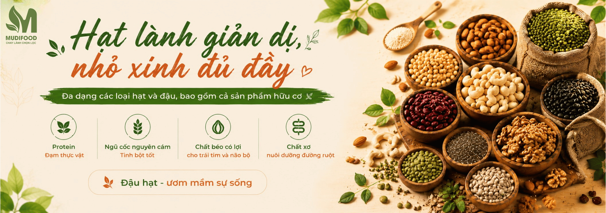 HẠT VÀ ĐẬU
