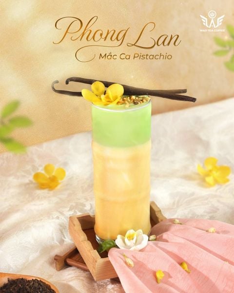 Phong Lan Mắc Ca Pistachio