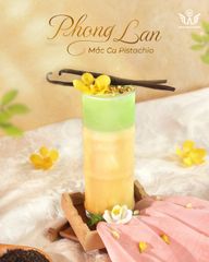 Phong Lan Mắc Ca Pistachio