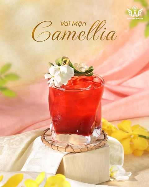 Camellia Vải Mận
