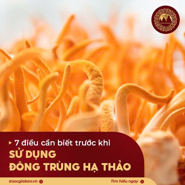 7 điều cần biết trước khi sử dụng đông trùng hạ thảo