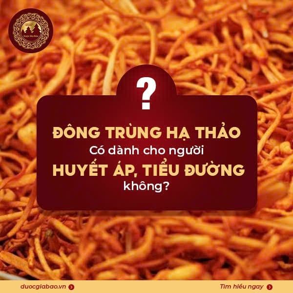 Đông trùng hạ thảo cho người cao huyết áp dùng được không?