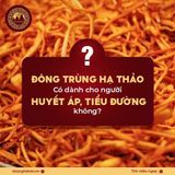 Đông trùng hạ thảo cho người cao huyết áp dùng được không?