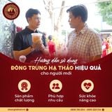 Hướng dẫn sử dụng đông trùng hạ thảo cho người mới