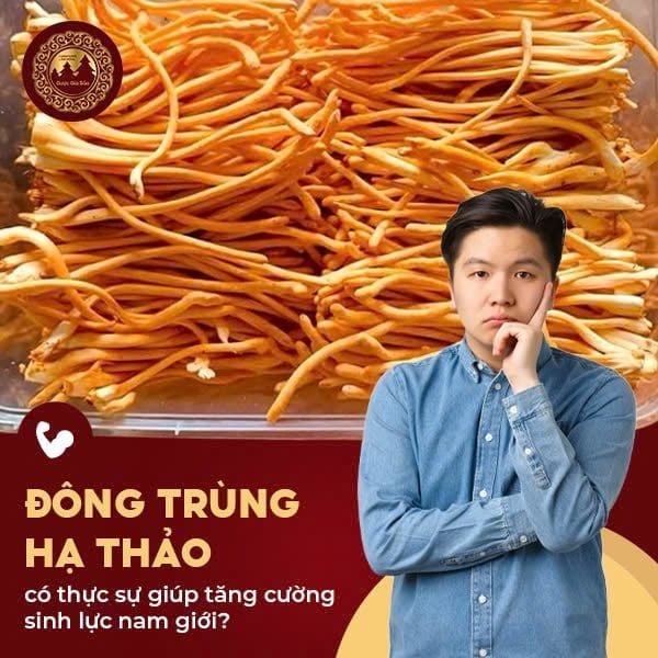 Đông trùng hạ thảo có thật sự giúp tăng cường sinh lực nam giới