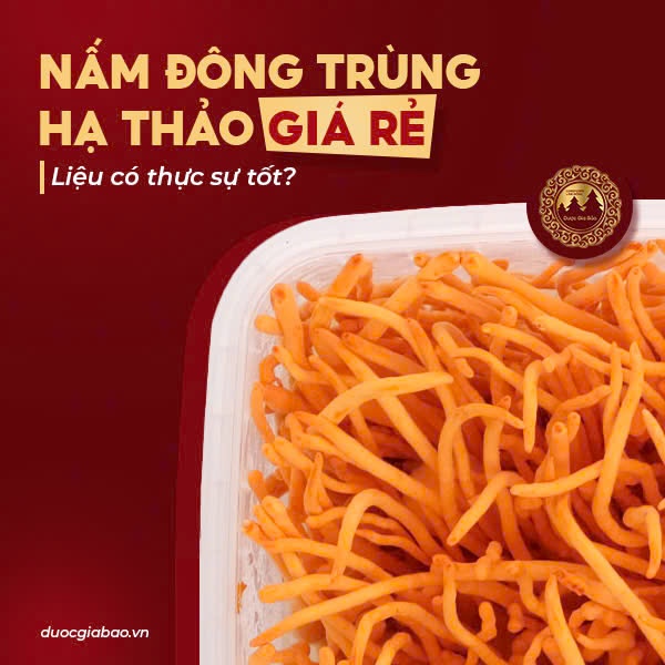 Nấm đông trùng hạ thảo giá rẻ liệu có thật sự tốt?